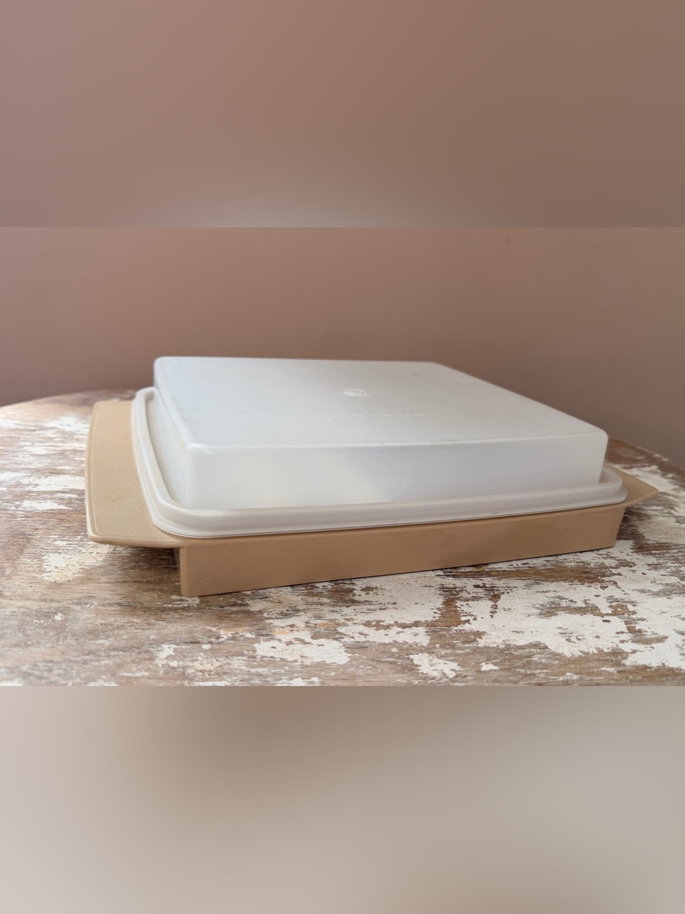 Vintage Tupperware Deviled Egg Keeper Carrier Tray Container Beige